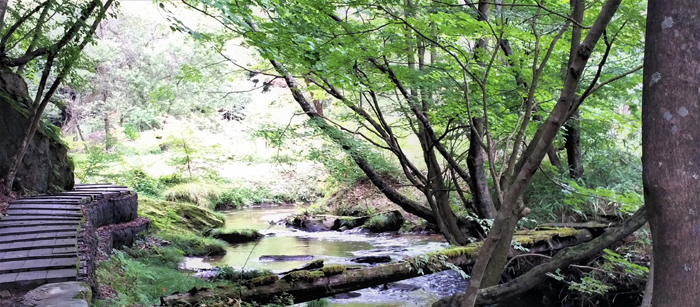 滝川の里 小川